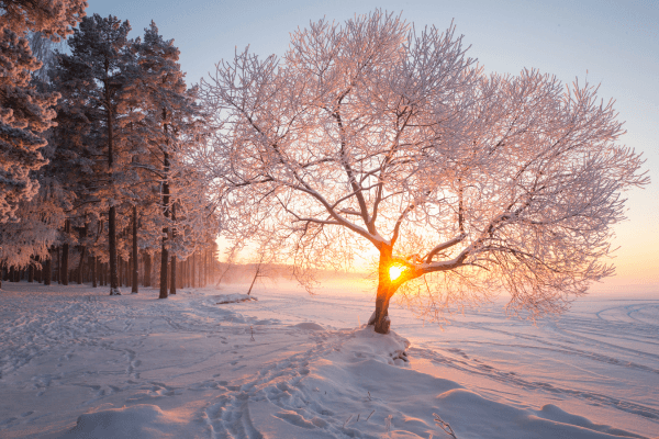 Winter get-away in bourgondisch Brabant